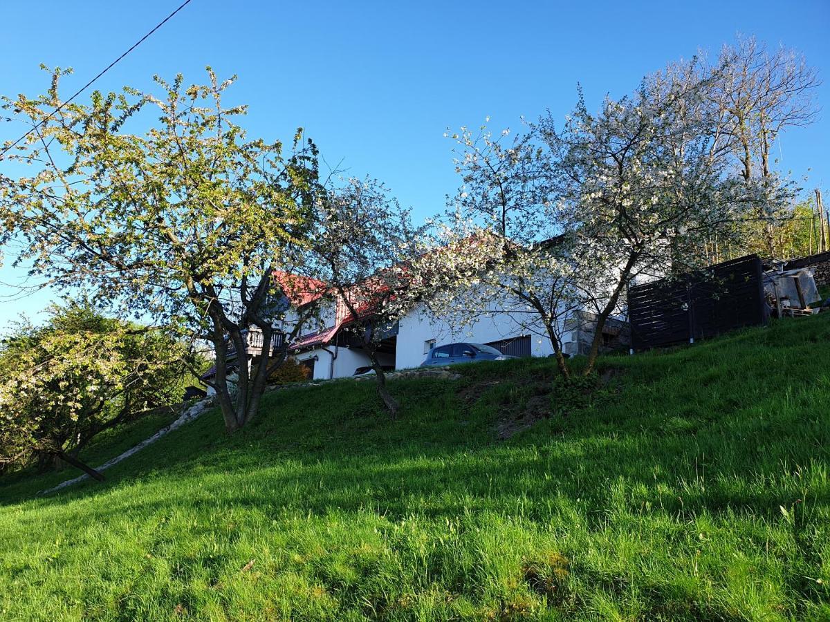 Pokoje Karkonosze Przesieka Exteriör bild