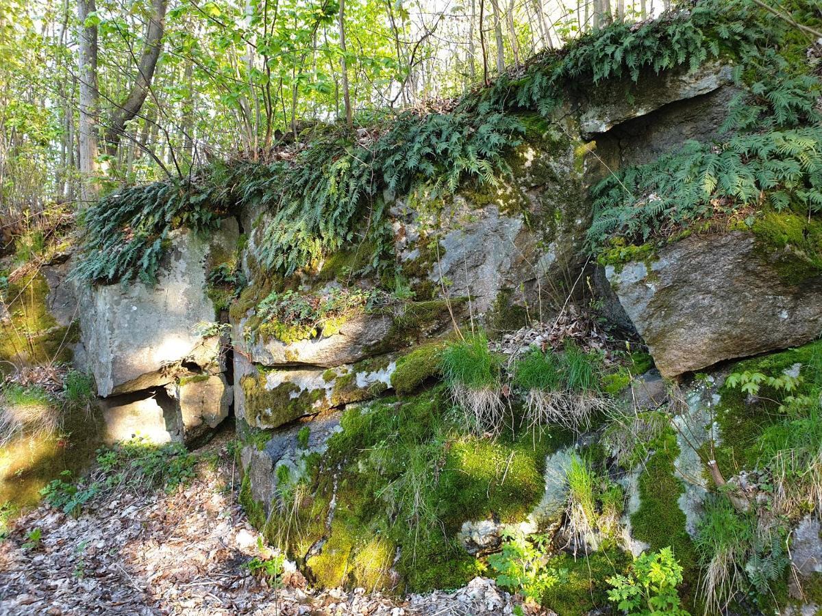 Pokoje Karkonosze Przesieka Exteriör bild